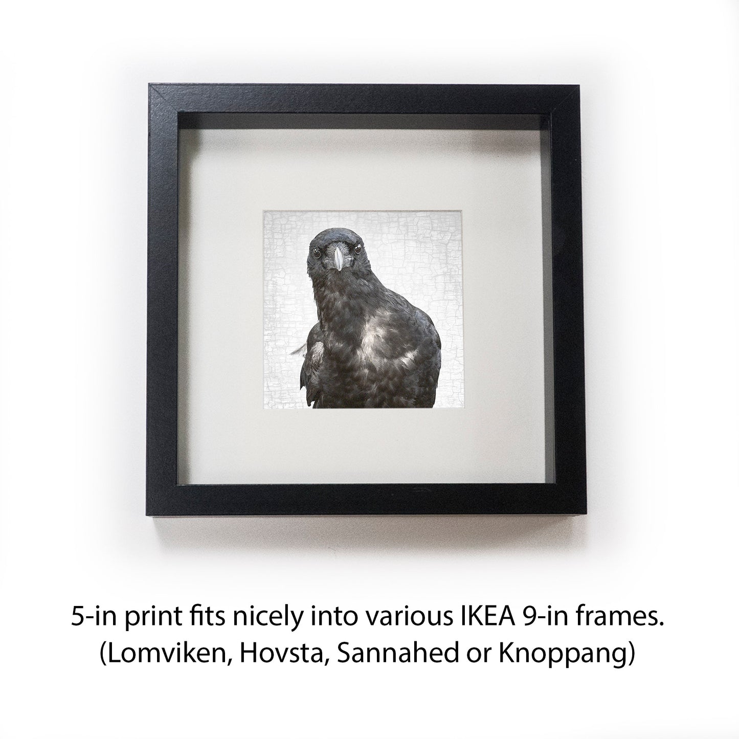 NEIL YOUNG CROW - Fine Art Print, Crow Portrait Series