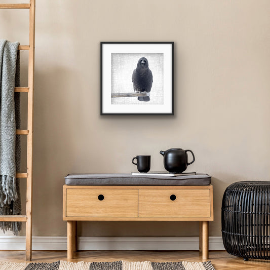 OUT ON A LIMB - Fine Art Print, Crow Portrait Series