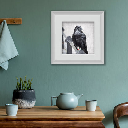 POPPY THE TOWER RAVEN - Fine Art Print, Raven Portrait Series