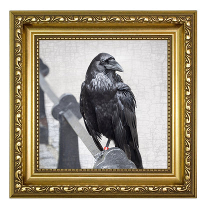 POPPY THE TOWER RAVEN - Fine Art Print, Raven Portrait Series