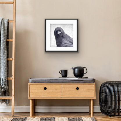 PRECOCIOUS - Fine Art Print, Crow Portrait Series