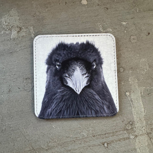 RAVEN INTENSITY — Coaster
