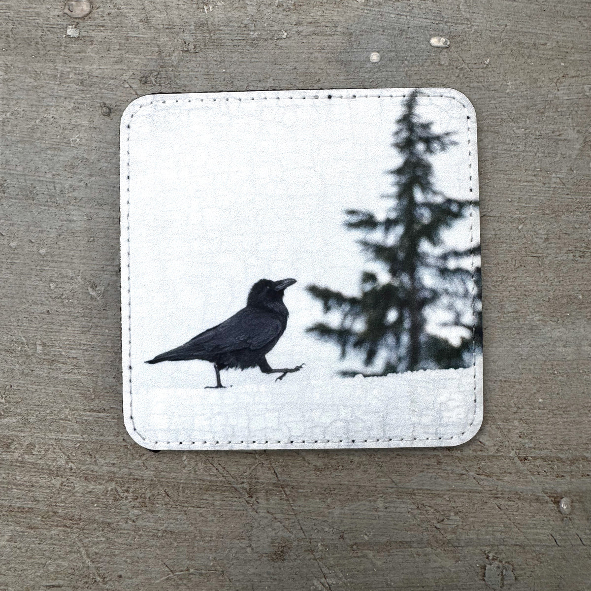 RAVEN STRUT — Coaster