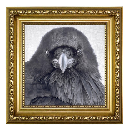 THE RAVEN OF JUDGEMENT - Fine Art Print, Raven Portrait Series
