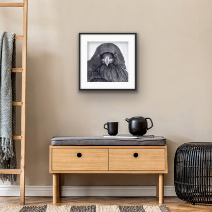 THE RAVEN OF JUDGEMENT - Fine Art Print, Raven Portrait Series