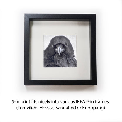 THE RAVEN OF JUDGEMENT - Fine Art Print, Raven Portrait Series