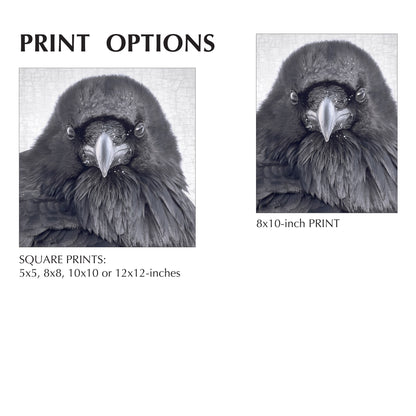 THE RAVEN OF JUDGEMENT - Fine Art Print, Raven Portrait Series