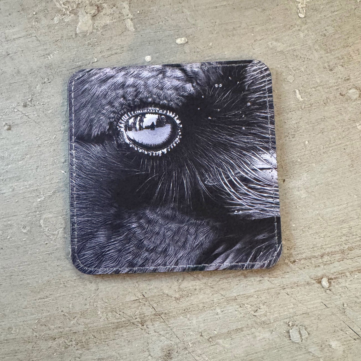IN A RAVEN'S EYE — Coaster