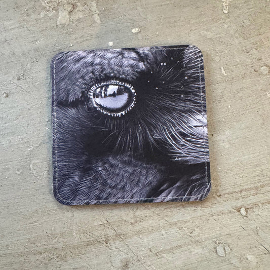 IN A RAVEN'S EYE — Coaster