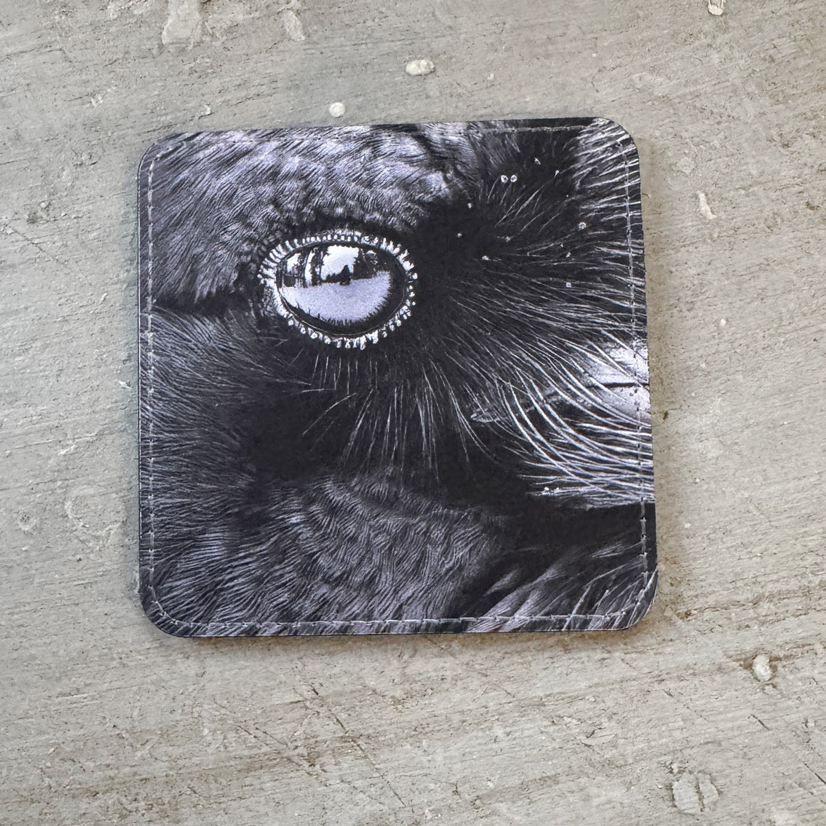 IN A RAVEN'S EYE — Coaster