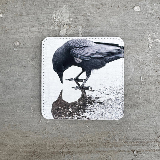 PHILOSOPHER CROW — Coaster