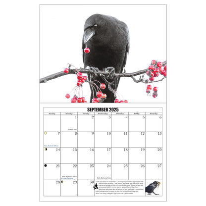 City Crow Calendar