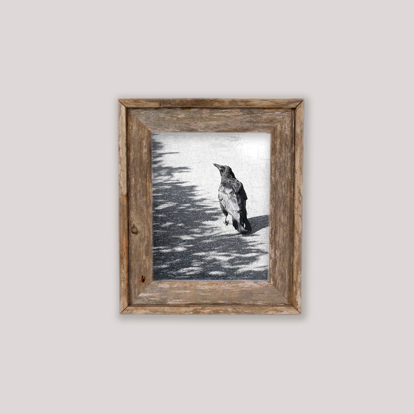 ON THE BORDERLINE - Fine Art Print, Crow Portrait Series