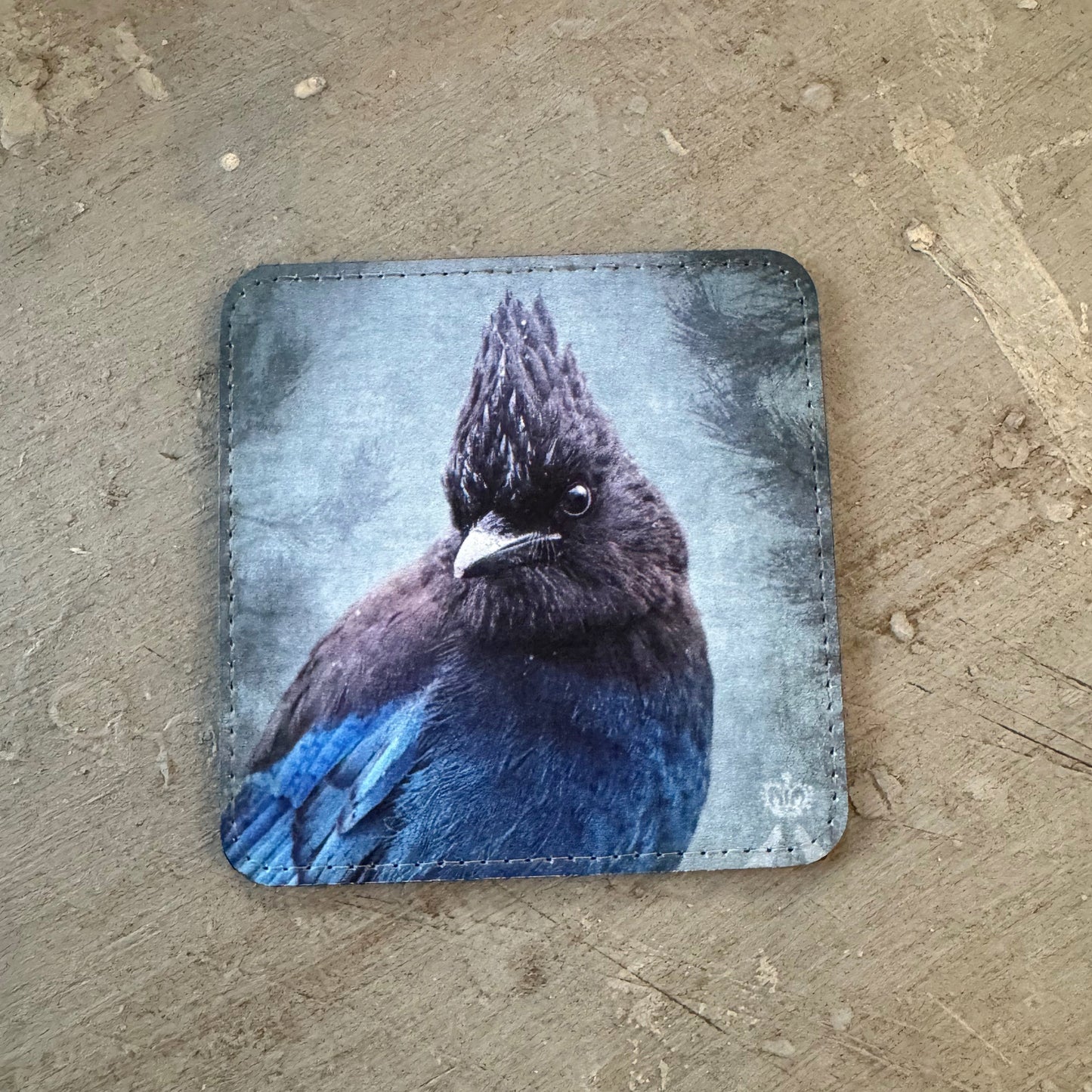 STELLER'S JAY — Coaster