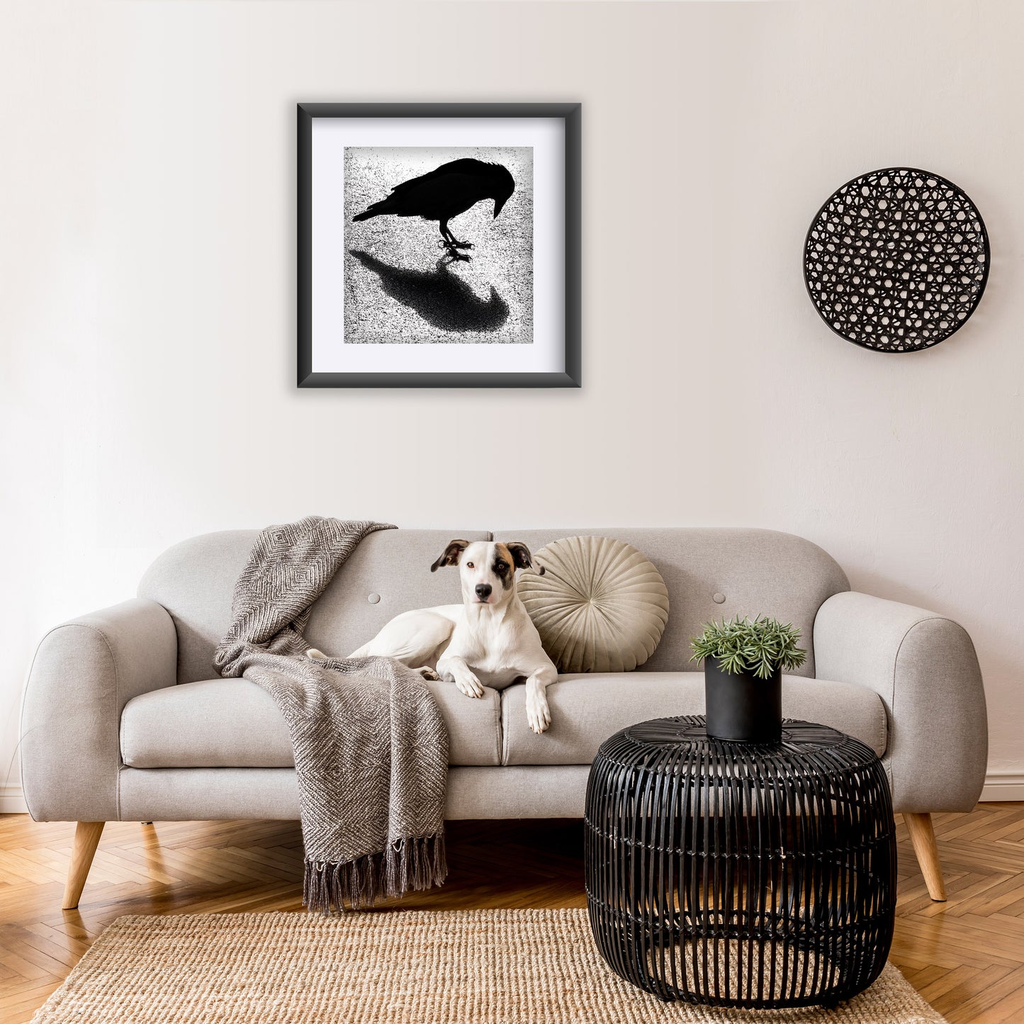 SYMMETRY - Fine Art Print, Crow Portrait Series