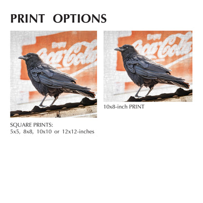 THINGS GO BETTER WITH CROWS - Fine Art Print, Crow Portrait Series