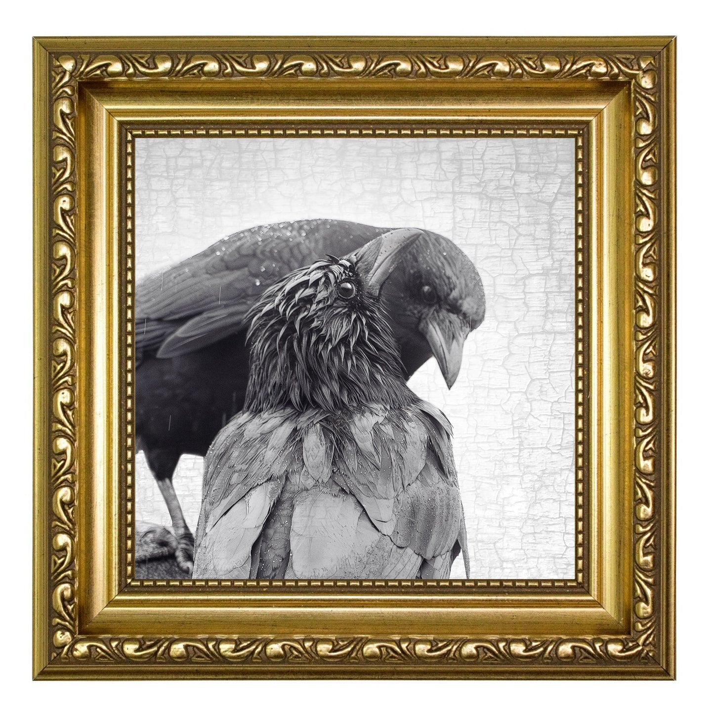 TOGETHERNESS - Fine Art Print, Crow Portrait Series