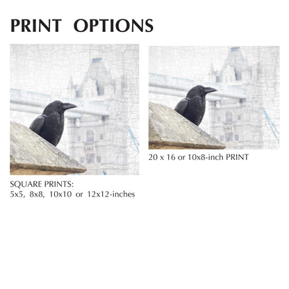 TOWER BRIDGE RAVEN - Fine Art Print, Raven Portrait Series