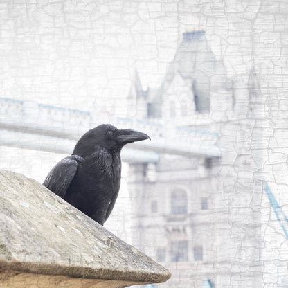 TOWER BRIDGE RAVEN - Fine Art Print, Raven Portrait Series