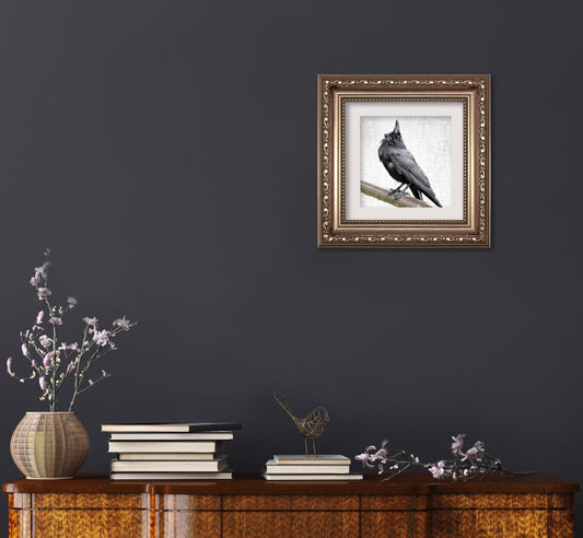 LOOK WAY UP - Fine Art Print, Crow Portrait Series