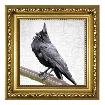 LOOK WAY UP - Fine Art Print, Crow Portrait Series