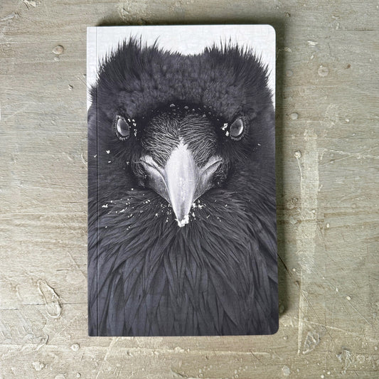 RAVEN WATCHER - Small Notebook by June Hunter