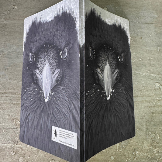 RAVEN WATCHER - Small Notebook by June Hunter