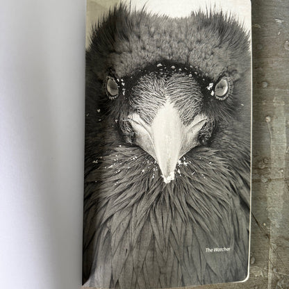 RAVEN WATCHER - Small Notebook by June Hunter