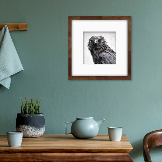 WET SUNDAY CROW - Fine Art Print, Crow Portrait Series