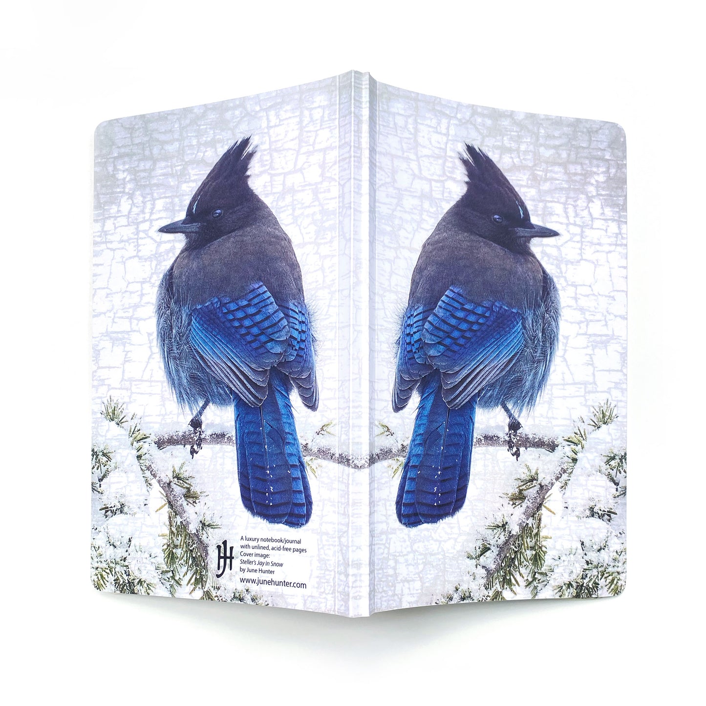 STELLERS JAY IN SNOW - Notebook by June Hunter  — SALE