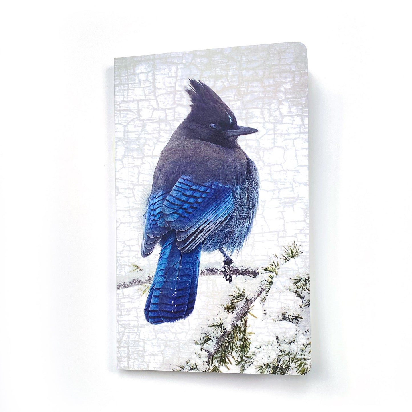 STELLERS JAY IN SNOW - Notebook by June Hunter  — SALE