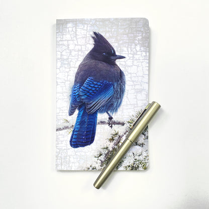 STELLERS JAY IN SNOW - Notebook by June Hunter  — SALE