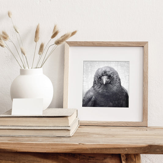 WISTFUL - Fine Art Print, Crow Portrait Series
