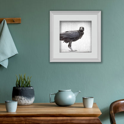 RAVEN FLEDGLING - Fine Art Print, Raven Portrait Series