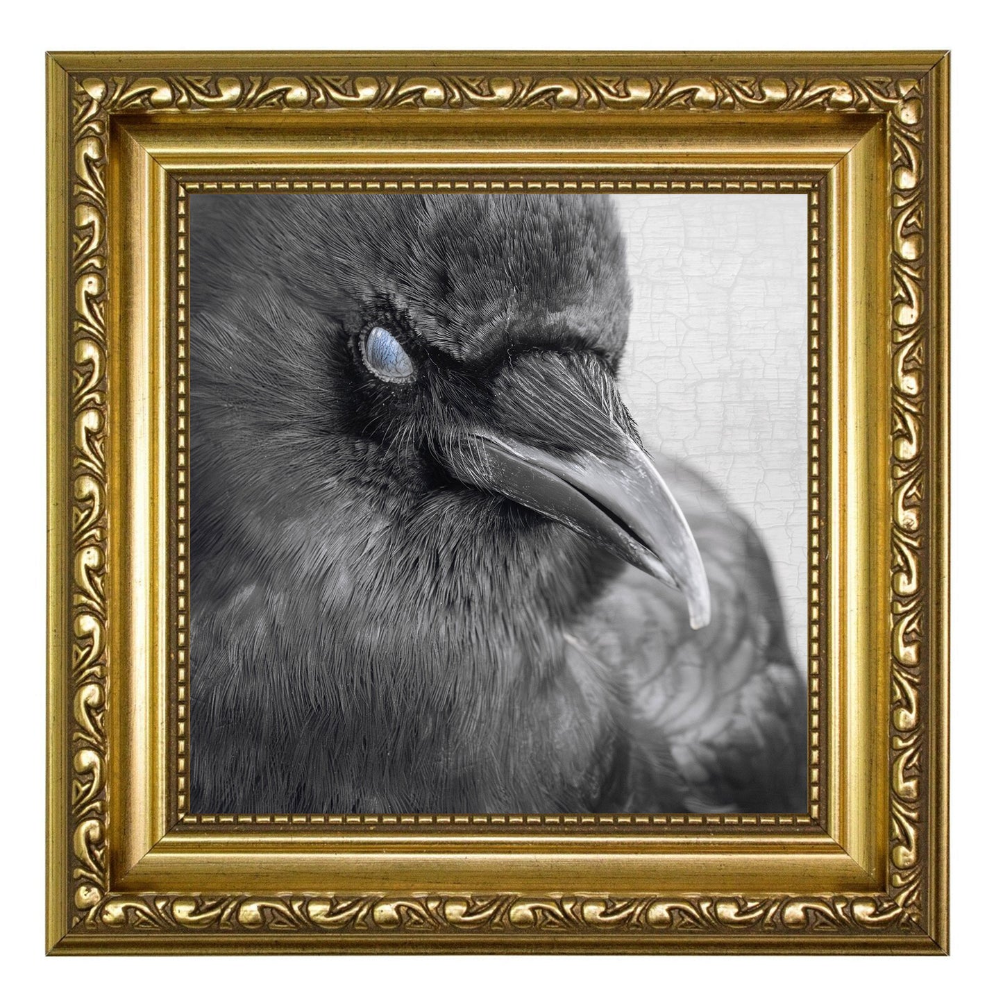 BLINK - Fine Art Print, Crow Portrait Series