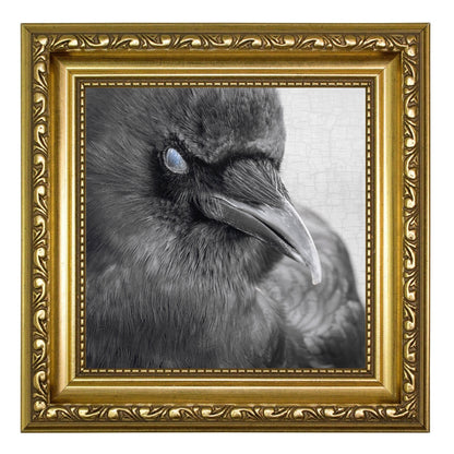 BLINK - Fine Art Print, Crow Portrait Series