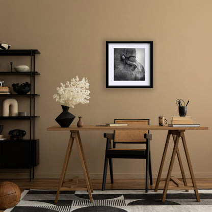 BLINK - Fine Art Print, Crow Portrait Series