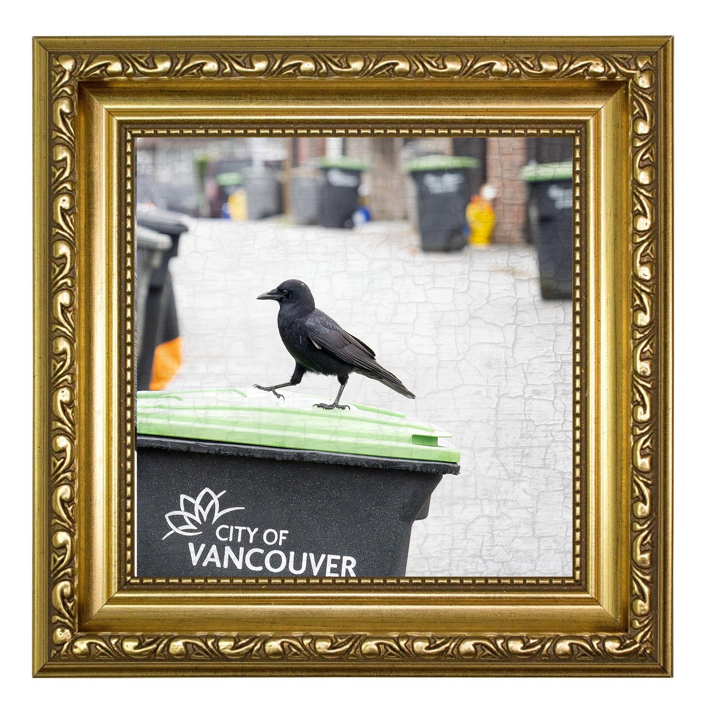 BUSY BIN DAY - Fine Art Print, Crow Portrait Series