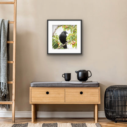 CHERRY CROW - Fine Art Print, Crow Portrait Series