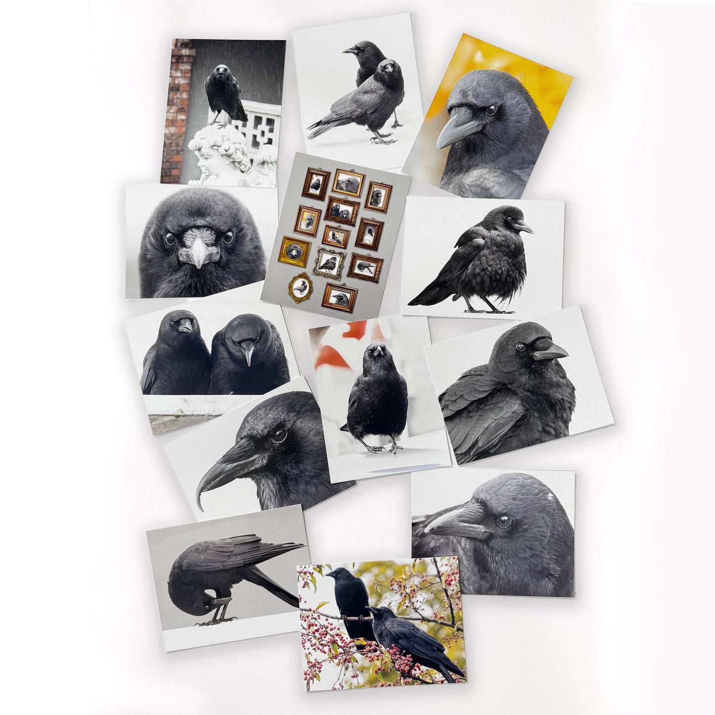 CROW CHARACTERS - Calendar and Postcard Bundle