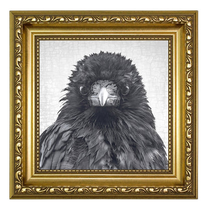 CRITICAL THINKER - Fine Art Print, Crow Portrait Series