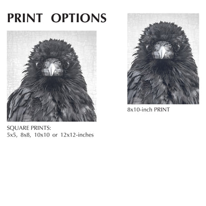 CRITICAL THINKER - Fine Art Print, Crow Portrait Series
