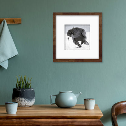 RAVEN DANCE - Fine Art Print, Raven Portrait Series