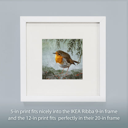 "THINKING OF HOME" ROBIN - Fine Art Print, Garden Birds Series