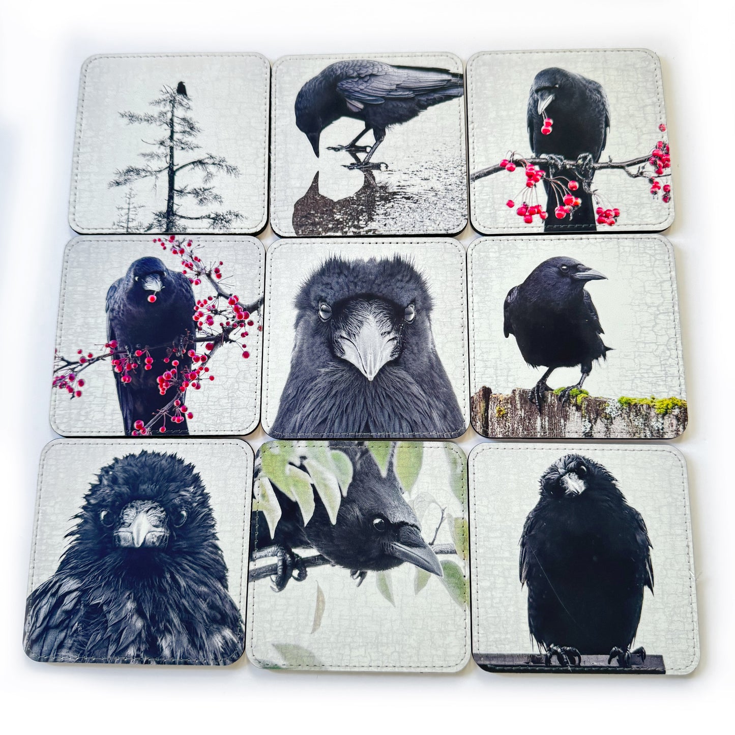 PHILOSOPHER CROW — Coaster