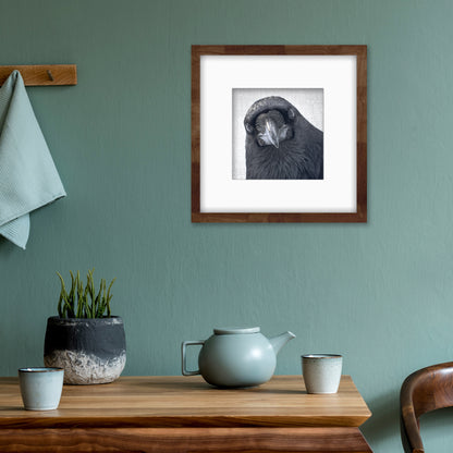 POP-UP RAVEN - Fine Art Print, Raven Portrait Series