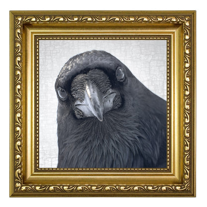 POP-UP RAVEN - Fine Art Print, Raven Portrait Series
