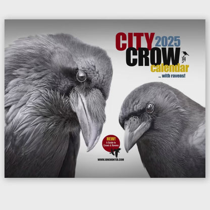 City Crow Calendar