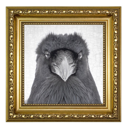 RAVEN INTENSITY - Fine Art Print, Raven Portrait Series