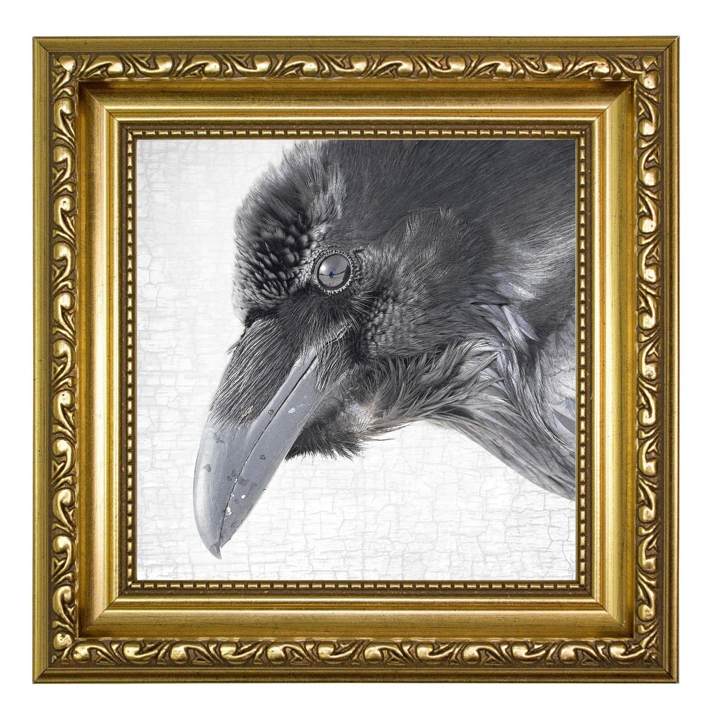 RAVEN REFLECTION - Fine Art Print, Raven Portrait Series